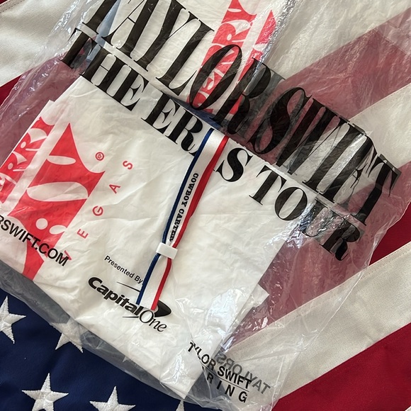 Taylor Swift and Katy Perry merch bags & Disneyland bag, & Cowboy Carter handtag - Picture 15 of 16